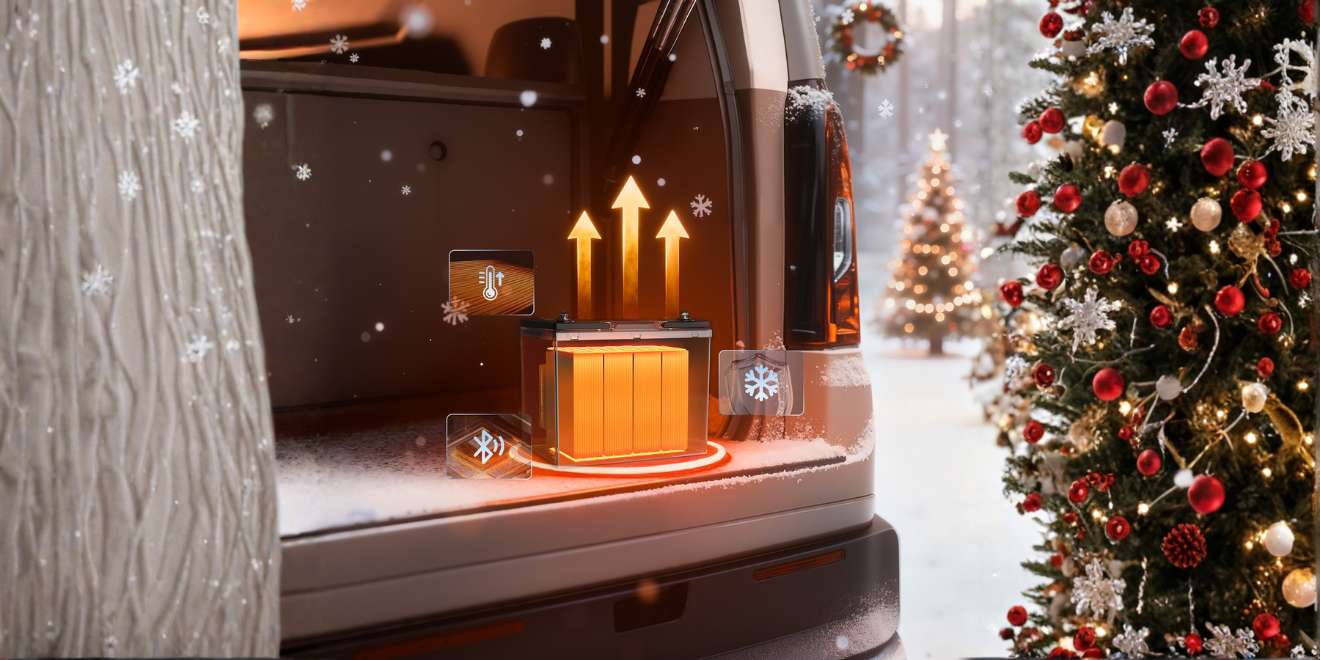 12V 100Ah Self Heating Bluetooth Battery