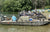 A fleet of bass boats with anglers gathered on the water near shore for the Electric Bass Anglers event