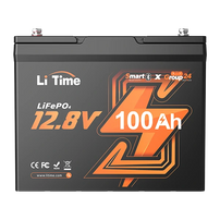 12v 100ah group24 smart lifepo4 battery