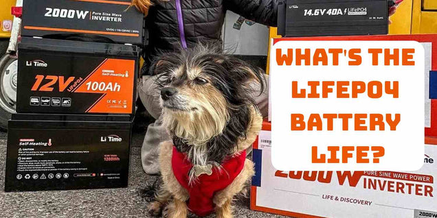 LiTime blog cover of LiFePO4 Battery Life: How Long Can You Really Expect?
