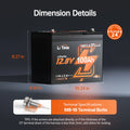 LiTime 12V 100Ah Group 24 Bluetooth Lithium Battery with Self Heating