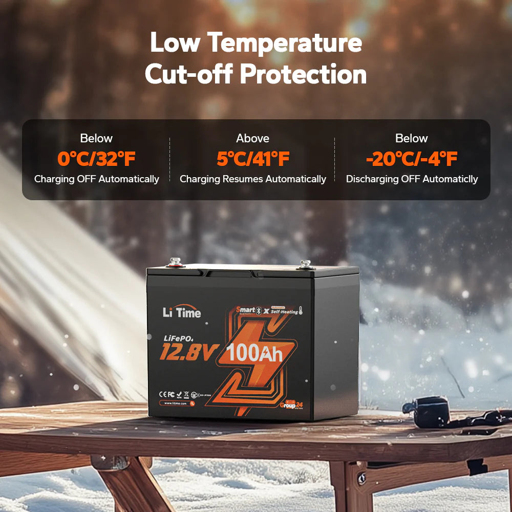 LiTime 12V 100Ah Group 24 Bluetooth Lithium Battery with Self Heating
