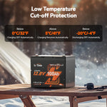 LiTime 12V 100Ah Group 24 Bluetooth Lithium Battery with Self Heating