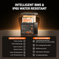 LiTime 12V 100Ah Group 24 Bluetooth Lithium Battery with Self Heating