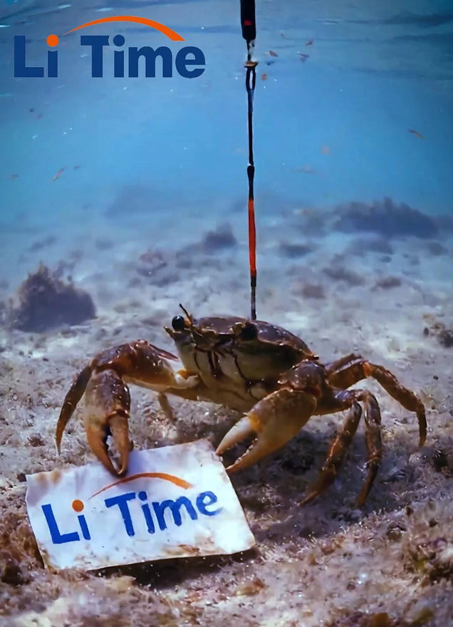 Handwrite “LiTime”