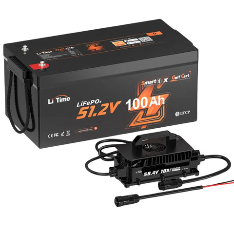 🌟[Black Friday Final Price C$1559.99]LiTime 48V 100Ah Golf Cart Bluetooth Lithium Battery