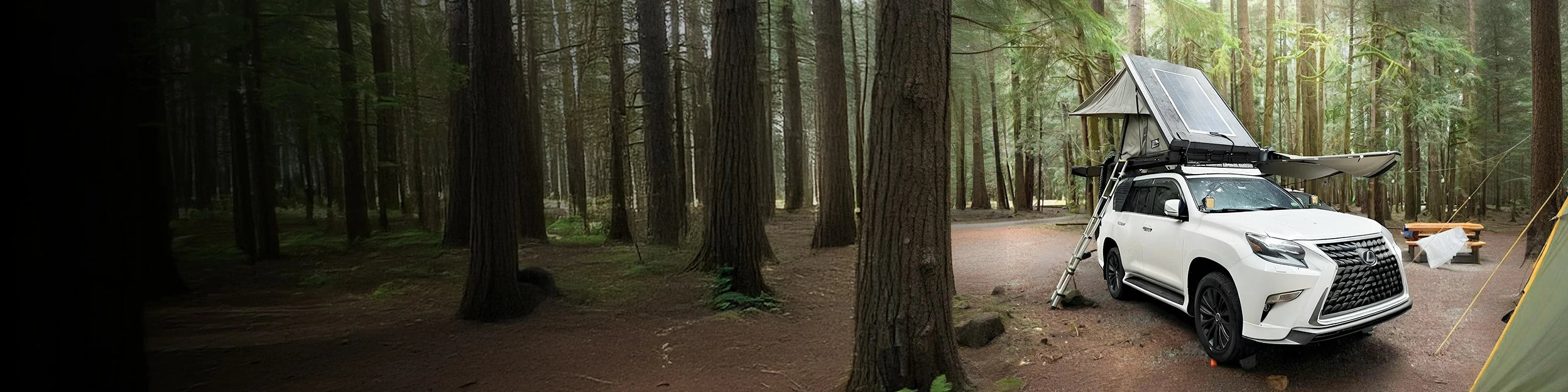 litime Modified Vehicles RV lifepo4 battery