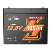 12v 100ah group24 smart lifepo4 battery