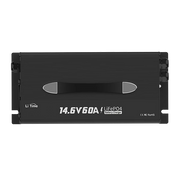12v 60a lifepo4 battery charger