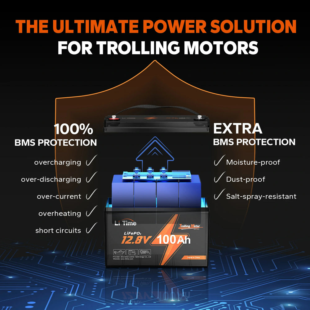 the BMS protections of a LiTime 100Ah battery, including overcharging, overheating, moisture-proof, and more