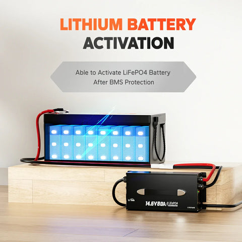 LiTime 12V 80A Mountable Lithium Battery Charger