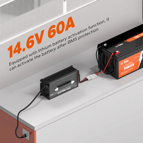 LiTime 12V 60A Lithium Deep Cycle Smart Battery Charger