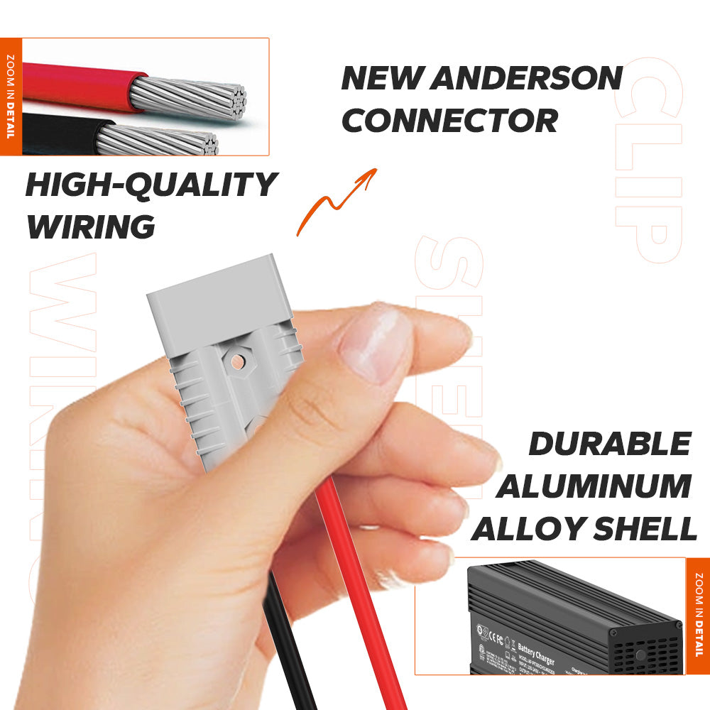 litime 12v 20a  lithium battery charger