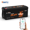 overview of litime 24 Volt 100Ah bluetooth smart LiFePO4 battery
