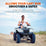 LiTime 48V 60Ah Lithium Golf Cart Battery