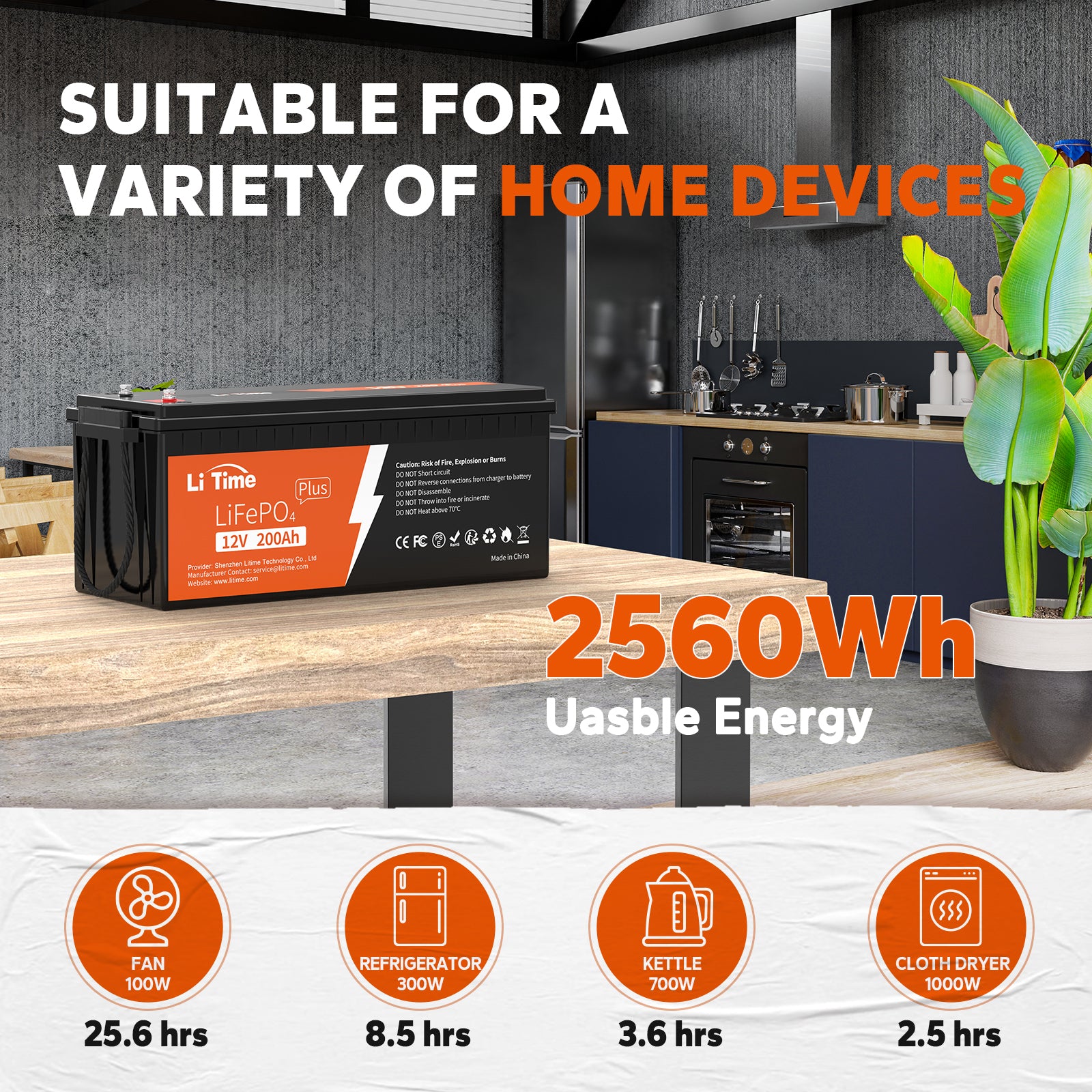 litime12v 200ah plus lithium battery